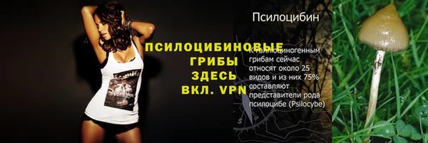 ECSTASY Аркадак
